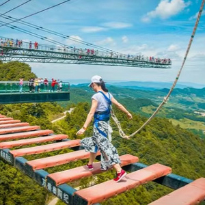 高高度に設置された観光探検橋を段階的に歩くスリリングな橋高地遊具 - Product Image 2