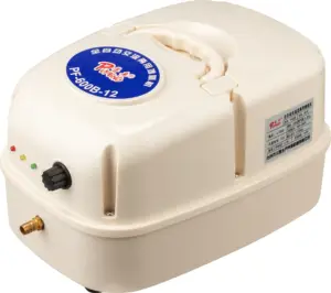 Generatore di ossigeno AC/DC piscicoltura acquario generatore di ossigeno acquacoltura concentratore di ossigeno