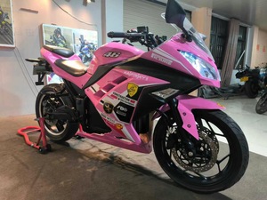 Motocicleta Todoterreno Das 72V, Pequeña, Tipo Ninja, de Segunda Mano, Motor de 3000W, Velocidad Máxima >80km/h - Product Image 2