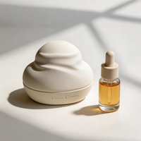 Diffuseur d'arômes d'intérieur pour salon, ornement en céramique moulé en 3D, pierre diffuseuse sans flamme, parfum longue durée, décoration de bureau, parfum pour voiture