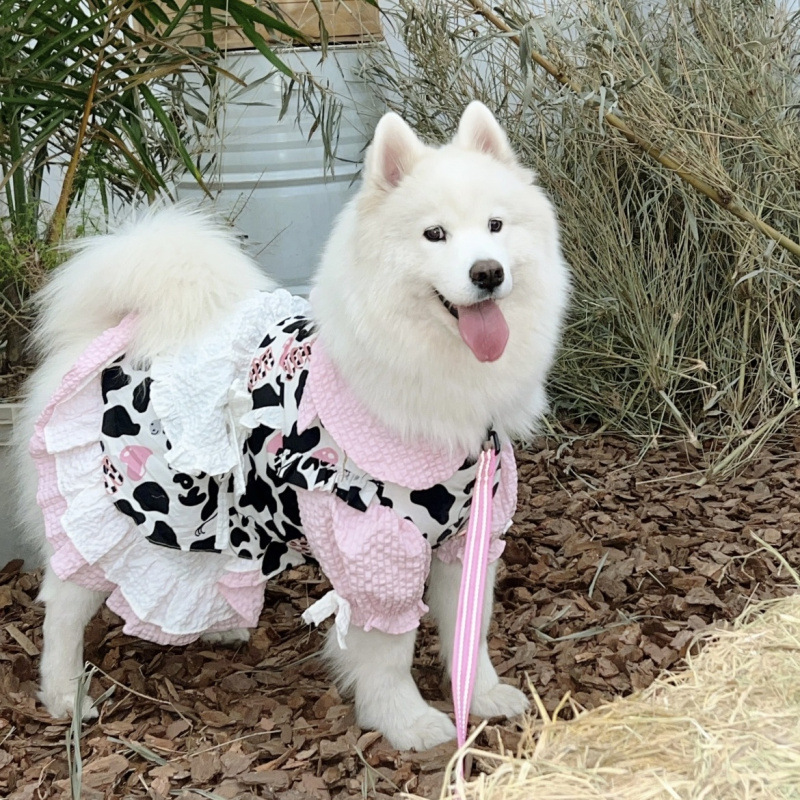 Leche de Coco Coco - [Estilo Rosa]