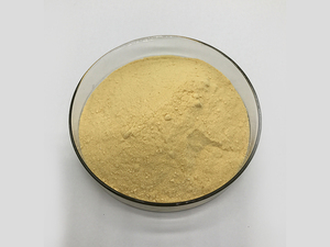 Günstigster Preis DL Lysin Base - Product Image 3