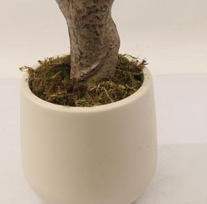 JWT4089 Albero <span class=keywords><strong>di</strong></span> Ulivo Artificiale Grande con Protezione UV, Ecologico, Personalizzabile, Pianta in <span class=keywords><strong>Plastica</strong></span> <span class=keywords><strong>di</strong></span> Alta Qualità per Paesaggisti, Interni ed Esterni - Product Image 3