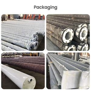 Poteaux d'éclairage de rue octogonaux en acier inoxydable galvanisé à chaud de 6 m, 8 m, 9 m, 10 m, 11 m, 12 m, LED, jardin, route, autoroute, étanches - Product Image 5