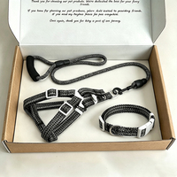 Ensemble de laisse et harnais pour chien en corde tressée durable personnalisée, collier et harnais réglables en nylon pour animaux de compagnie, ensemble de 3 pièces pour une utilisation en extérieur