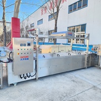 Machine à fabriquer des chips de banane DY, prix d'usine, vente chaude, 100/150/260/300 kg/h, machines à fabriquer des chips de banane