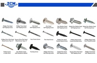Vis autotaraudeuses à tête cylindrique Phillips en acier inoxydable SS 304/316/410 M2-M5 métriques et impériales