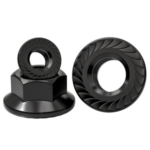 Tianzhuo Hardware Flange Nuts M3 M4 M5 M6 M8 M10 M12 M14 M16 M20 Black Oxide Anti Slip Locking Fasteners - Product Image 1