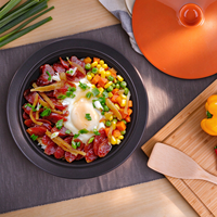 Tajine marocain en fonte émaillée colorée, plat à gratin avec couvercle conique en céramique pour gaz, induction et four, vente en gros OEM