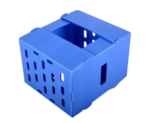 Có thể gập lại ráp <span class=keywords><strong>PP</strong></span> sóng rau và trái cây doanh thu hộp tái chế <span class=keywords><strong>PP</strong></span> rỗng Poly tấm nhựa - Product Image 2