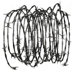 Bulk Korting Prikkeldraad Prijs Meter Prikkeldraad Cubaanse Link Prikkeldraad Hek Voor Boerderij - Product Image 3