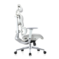 Chaise de bureau ergonomique moderne en maille confortable pour ordinateur, vente en gros en Chine