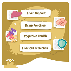 Supplément de pâte naturelle pour chien-SAMe & Silybine Huile de poisson Calcium & Vitamine E pour un soutien immunitaire et une absorption rapide et sûre - Product Image 2
