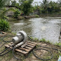 Souffleur annulaire monophasé 220V pour ferme piscicole, aérateur 750W 1HP, pompe à air pour aquaculture