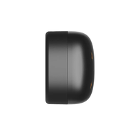 Traceur GPS pour animaux de compagnie 4G étanche avec localisation en temps réel et géolocalisation pour chiens et chats