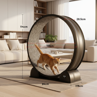 Roue d'exercice pour chat avec écran intelligent, en ABS écologique, tapis roulant silencieux, roue de fitness, structure d'escalade, jouet pour animaux de compagnie