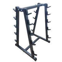 Support de Rangement Robuste en Acier pour Haltères Double Face avec Crochets 20J, Idéal pour la Maison et l'Entraînement Physique – Vente Directe Usine