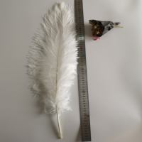 Nouvelles plumes d'autruche blanches teintes originales en gros, 60-65 cm, pour robe de cocktail de luxe, décoration de mariage à domicile, fabrication de bricolage
