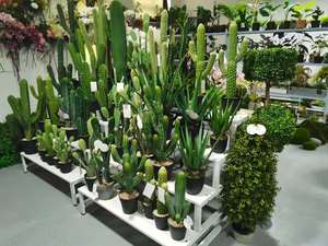 Mới nhất thiết kế lớn trong nhà nhân tạo cây <span class=keywords><strong>bonsai</strong></span> cây Saguaro cây xương rồng trong tự nhiên PE với nồi - Product Image 6