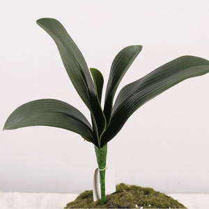 Hojas Artificiales de Orquídea Phalaenopsis, 5 Piezas, Alta Simulación, para Arreglos Florales, Decoración de Bodas - Product Image 1