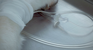 Nakliye maliyeti hastane enjeksiyon infüzyon pompası olmadan infüzyon pompası üreticileri infüzyon pompası - Product Image 6