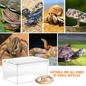 Reptile <strong>Terrarium</strong> Acrylic Enclosure Reptile Cage Breathable <strong>Plastic</strong> Breeding Box for Insect Lizard Spider - Product Image 4