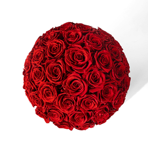 Roses éternelles préservées rose vif sous dôme floral rond - Décoration de mariage et du Nouvel An, fait main, respectueux de l'environnement - Product Image 4