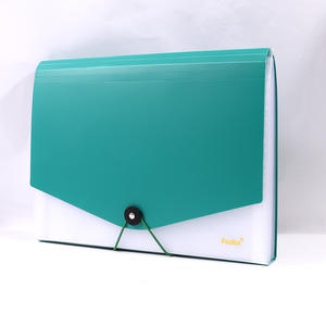 Foska insegnante fornisce leggero carta ricevuta organizzatore colorato robusto materiale PP 13 cartelle Pocket per documenti - Product Image 2