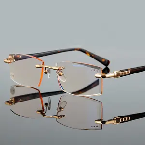 2024 Trendy Narrow Square Ultralight Tortoise Shell Eyewear Glasses Blue Light Blocking Rimless Computer Men Women Glasses