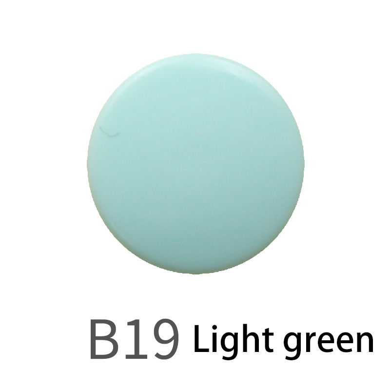 B19