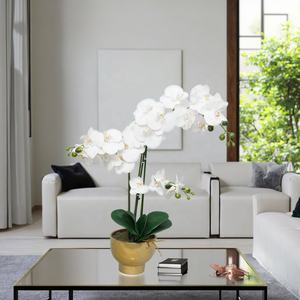 Venta al por mayor Oh Arts 70cm Flor de imitación Orquídea artificial Orquídea de seda blanca Planta Phalaenopsis Flores para la decoración del hogar - Product Image 2