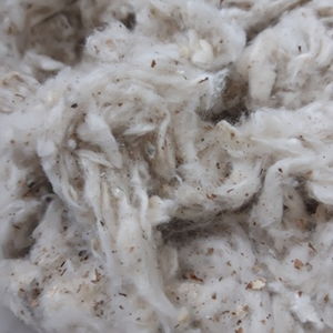 100% lickerin b/ Card fly/ แถบแบนฝ้ายพร้อมส่งราคาต่อรองได้ติดต่อ + 84 333371330สำหรับข้อมูลเพิ่มเติม - Product Image 1