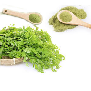 ผงมะรุมคุณภาพสูงแบบออร์แกนิก ปรับแต่งได้ตามต้องการ - Product Image 5