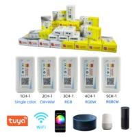 Tuya WiFi Smart RGB LED Strip Controller 24V 12V APP Voice LED Dimmer pour Single-colour CCT RGB RGBW RGBCW Strip Light