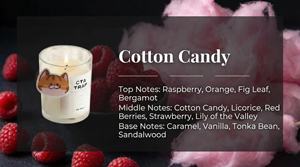 Bougie en cire de soja personnalisée, sans danger pour les animaux domestiques, non toxique, parfumée aux fruits, huile essentielle, aromathérapie d'intérieur - Product Image 4