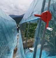 Serre tunnel économique à simple travée en film PO pour jardin, système hydroponique pour la culture de fraises, tomates et fleurs