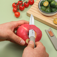 Vouwbaar fruitmes 3Cr13 roestvrij staal, draagbaar schilmesje met schede voor kamperen en huishoudelijk gebruik
