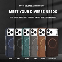 Étui de téléphone magnétique électroplaqué en cuir anti-chute C0245 pour iPhone 17 Air 18 Pro Max 16 15 14 13 12 Pro