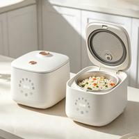 Autocuiseur Électrique Tactile Multifonctionnel avec Cuve Antiadhésive pour Cuisson à Faible Teneur en Sucre – Vente en Gros