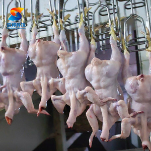 Línea de Sacrificio de Aves de Corral para 1000 Aves, Línea de Sacrificio de Pollos Pequeños - Product Image 5