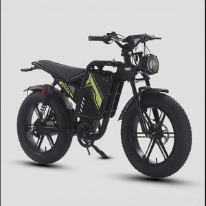 โครงจักรยานไฟฟ้าขายส่งจากโรงงาน ขนาด 20 นิ้ว จักรยานไฟฟ้าสามล้อราคาถูก จักรยานไฟฟ้าแบบวิบากสำหรับขาย - Product Image 1