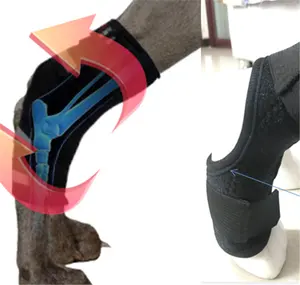 Hund Bandagen Hund Bein Knie Brace Straps Schutz für Hunde Joint Bandage Wrap Verhindert Verletzungen