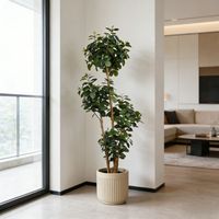 Nouvelle Conception 2026 : Ficus Artificiel Ultra-Realiste pour la Maison, le Bureau, l'Hôtel, le Centre Commercial – Plantes Ficus Décoratives en Pot