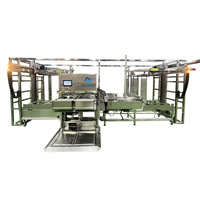 Ligne de production de cuir de fruit d'aubépine personnalisée avec moteur et engrenages, capacité de 1 à 2 tonnes/jour