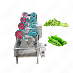 Lavadora de burbujas de mango Máquina de limpieza de naranjas Máquina de limpieza de burbujas naranjas Línea de producción de limpieza de naranjas - Product Image 1