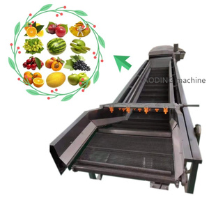 Harga pabrik mesin pembersih kentang pencuci kentang sayuran Manual dan buah mesin cuci gelembung sabuk konveyor sayuran - Product Image 1