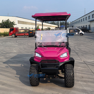 Voiture de golf électrique professionnelle 60V rose multifonctionnelle tout-terrain 6 places - Product Image 4
