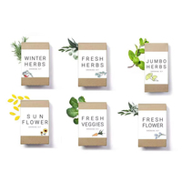 Kits de culture pour légumes et herbes d'intérieur, pots en tourbe biodégradables Pepper Box, pour jardin domestique