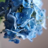 Vente en gros de fleurs artificielles d'hortensia en soie bleue à tige unique Real Touch faites à la main de haute qualité pour mariage et décoration intérieure