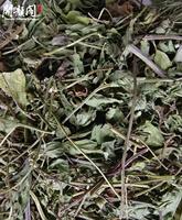 KAIYANGE Tisane Feuille de menthe poivrée Menthahaplocalyx Menthe séchée Feuilles écrasées Feuilles de menthe poivrée Tranches de thé Thé à la menthe poivrée séchée